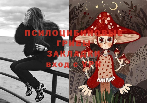 ГАЛЛЮЦИНОГЕННЫЕ ГРИБЫ Вяземский